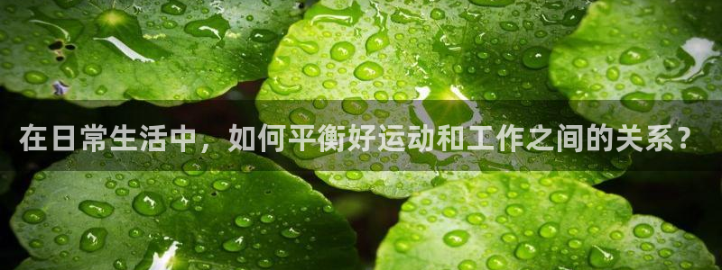 中欧体育网站：在日常生活中，如何平衡好运动和工作之间的关系？