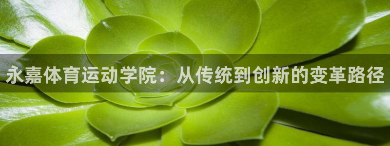 中欧体育ac米兰：永嘉体育运动学院：从传统到创新的变革路径