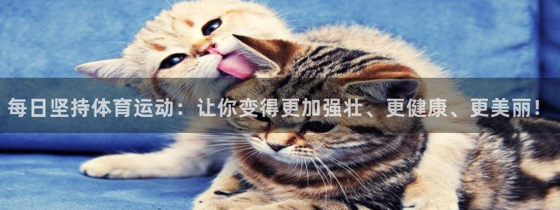 中欧体育平台：每日坚持体育运动：让你变得更加强壮、更健康、更美丽！