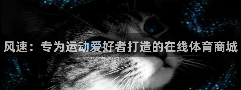 kok中欧体育登录