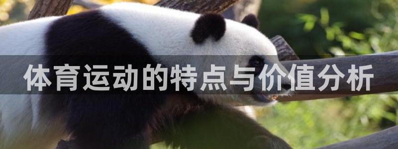 kok中欧体育
