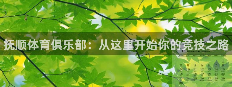 中欧体育kok