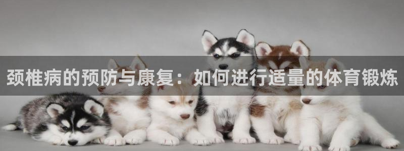 kok中欧体育登录