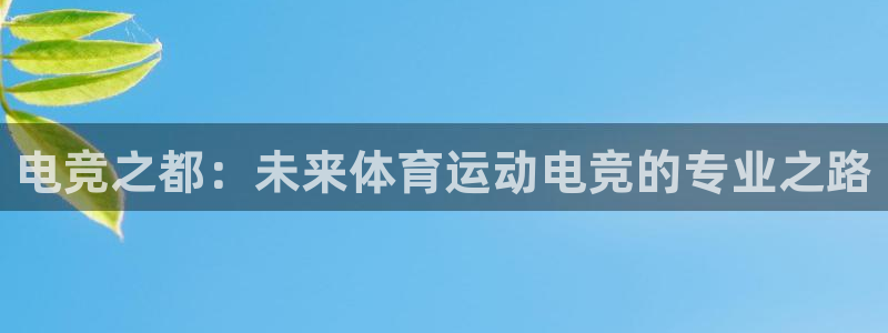 中欧体育集团