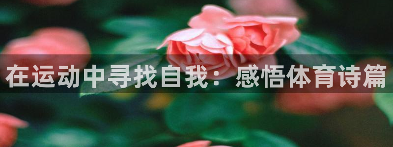 中欧体育官网：在运动中寻找自我：感悟体育诗篇