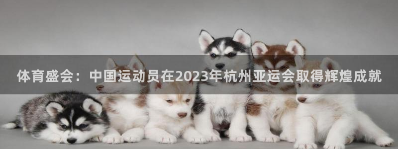 中欧体育(zoty)官网：体育盛会：中国运动员在2023年杭州亚运会取得辉煌成就
