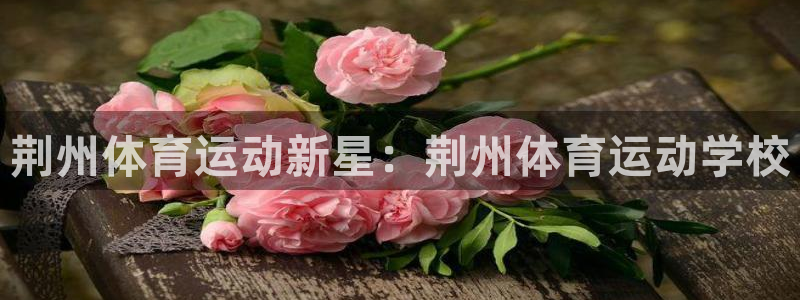 kok中欧体育登录：荆州体育运动新星：荆州体育运动学校