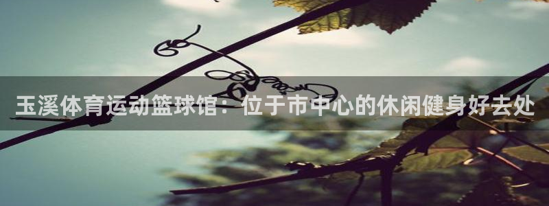 zoty中欧体育网址多少：玉溪体育运动篮球馆：位于市中心的休闲健身好去处