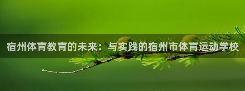 中欧体育网站：宿州体育教育的未来：与实践的宿州市体育运动学校